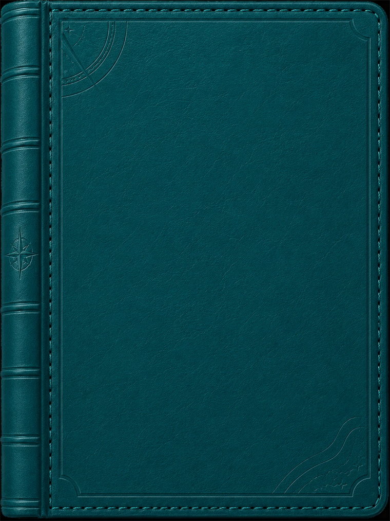Teal stitched leather passport cover